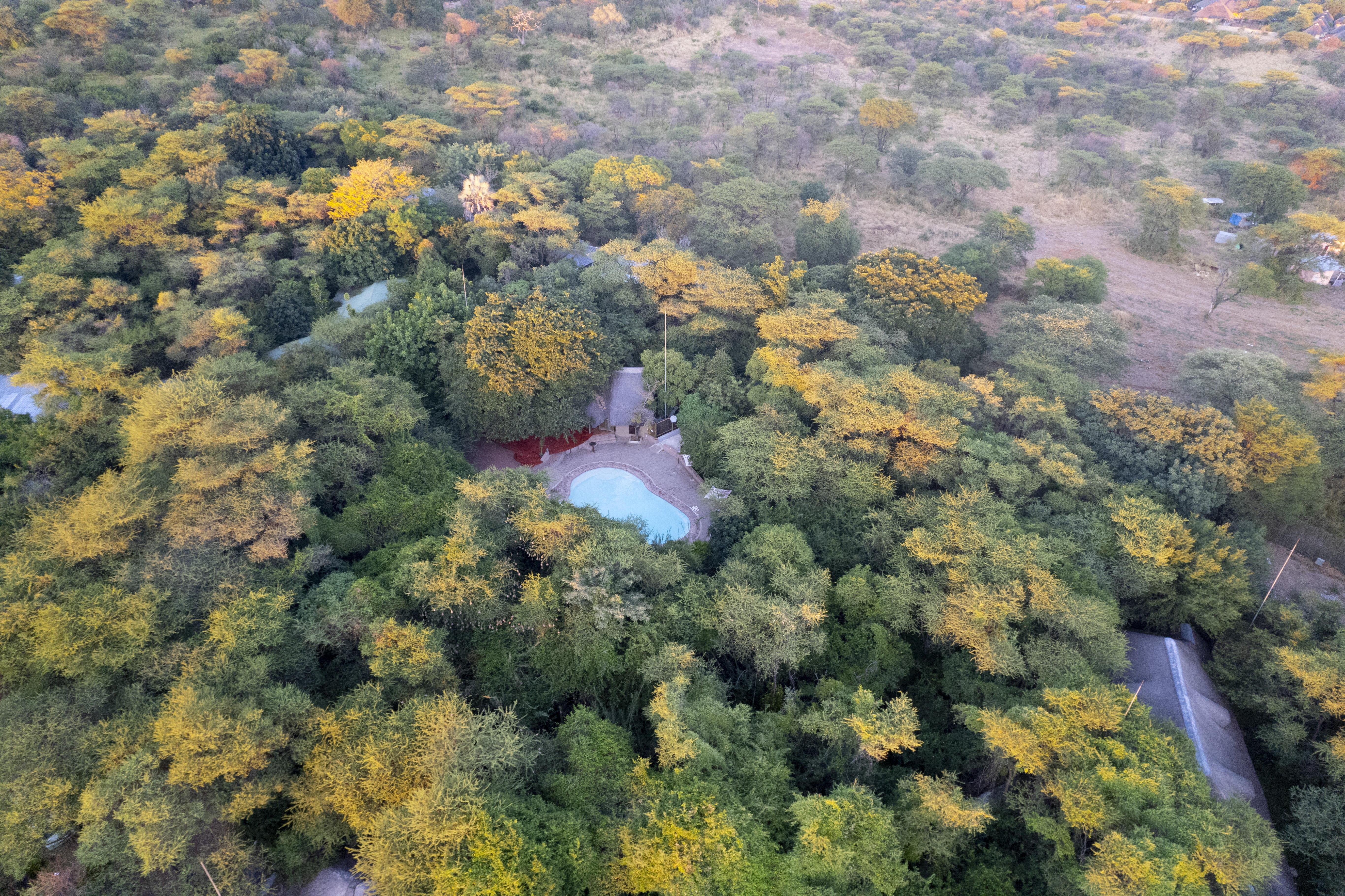 Aerial view of trees and terrain near Kwalape Safari Lodge