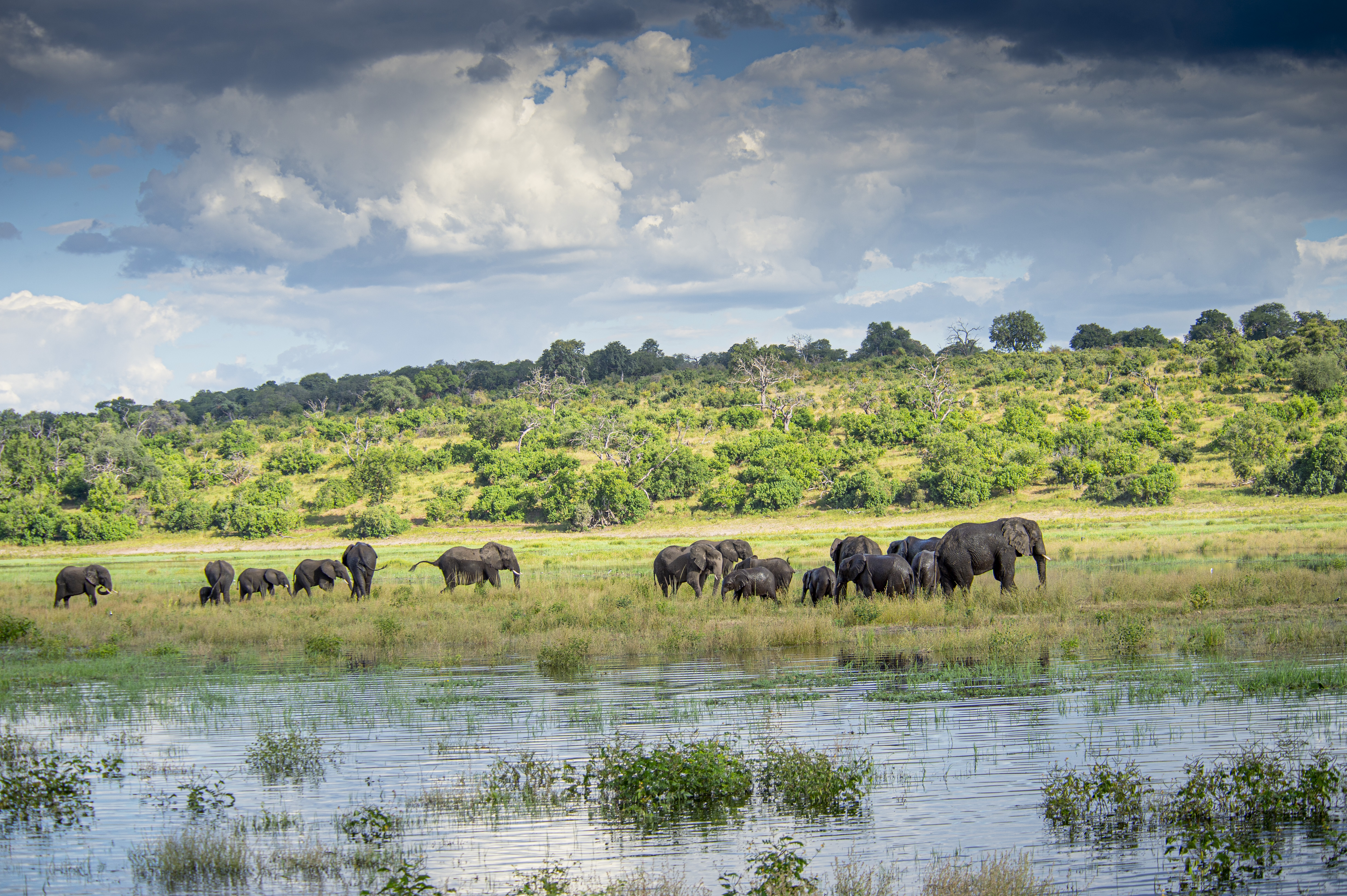 The Chobe River winding through the landscape